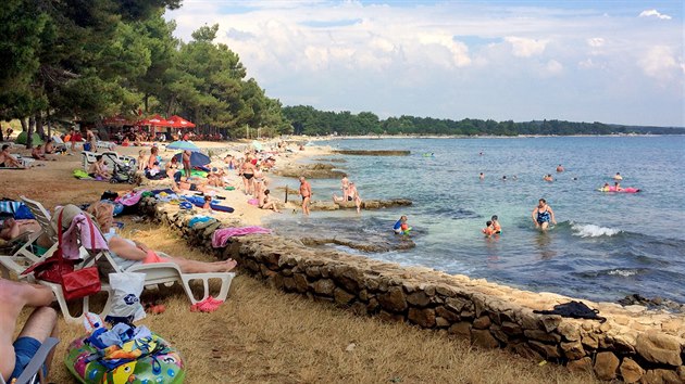 Rovinj - pl Kuvi, jedna z nejpjemnjch pl v parku Zlatni rt