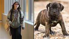 Alice Ve�erková je u soudu kv�li koupi �t�n�te p�es ú�ední zákaz.