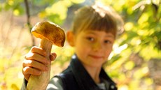 Pra�ské lesy mohou p�íjemn� p�ekvapit.