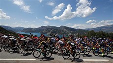 Cyklistický peloton na Tour de France.