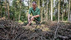 Martin Zavrtálek z Odboru lesního hospodáství a ochrany pírody podniku Lesy...
