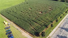 Bludit v kukuici v Hradci Králové.