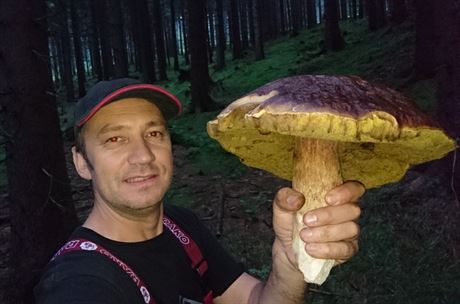 Pavel Molnár objevil v lesích na Jáchymovsku obí hib.