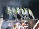 Posílám ryby: vykuchané pstruhy naplníme po osolení bylinkami a plátkem másla a...