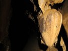 V jeskyni Na Pomezí se íká, e pokud se dotknete levou rukou stalaktitu ve...