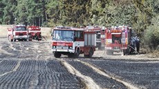 Poár pole u obce Zho na Tachovsku (31. 7. 2017)