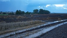 Poár skladovacích hal a pole v Podhradí - ejkovicích na Jiínsku (30.7.2017).