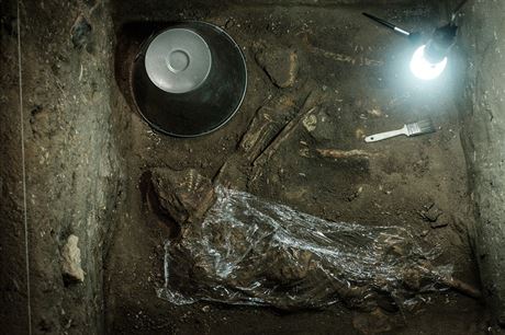 Zachoval kostra dospl eny, nalezen v masovm hrob v Riu de Janeiro. V...