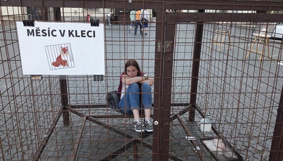 Veronika Hávová se v rámci kampaně proti kožešinovým farmám nechala zavřít do...