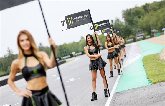 Kulisu k závodm MotoGP tradin obstarávají také hostesky.