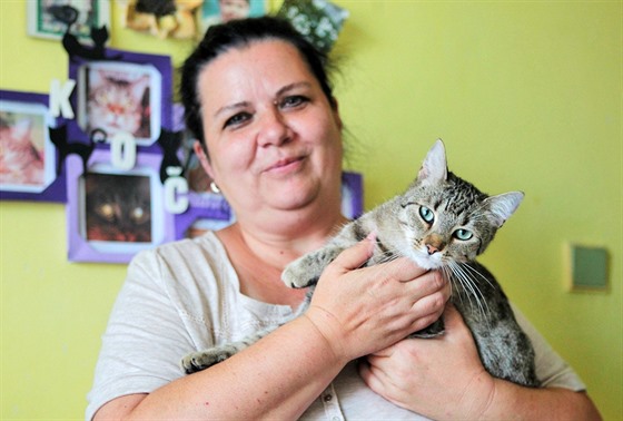 Anna Křehlíková provozuje v Sokolově kočičí útulek, spoustu koček má i doma.