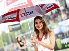 Kulisu k závodm MotoGP tradin obstarávají také hostesky.