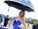 Kulisu k závodm MotoGP tradin obstarávají také hostesky.