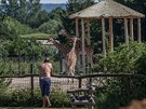 Safari Kemp v Zoo Dv�r Kr�lov� (2. �ervence 2017)