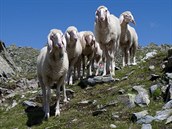 Na srdce jsou Hohen Tauern aneb turistv sen.