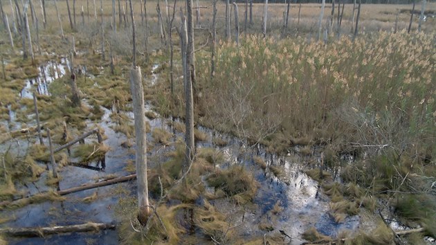 Rozpnajc se bainy a tzv. lesy duch v Marylandu.
