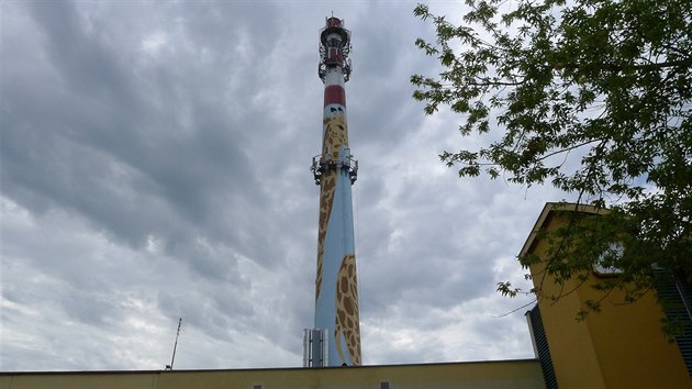 Obnoven� �irafa na kom�n� v �amberku