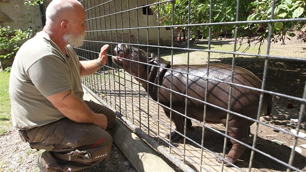 Sedmnctimsn hrok Pedro (na snmku s oetovatelem Karlem Rikou) do Jihlavy picestoval z portugalsk zoo, aby pomohl obnovit chov tchto zvat. 