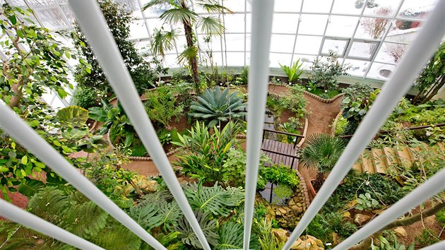 Pavilon tropických rostlin v botanické zahradě léčivých rostlin Farmaceutické fakulty Univerzity Karlovy v Hradci Králové.