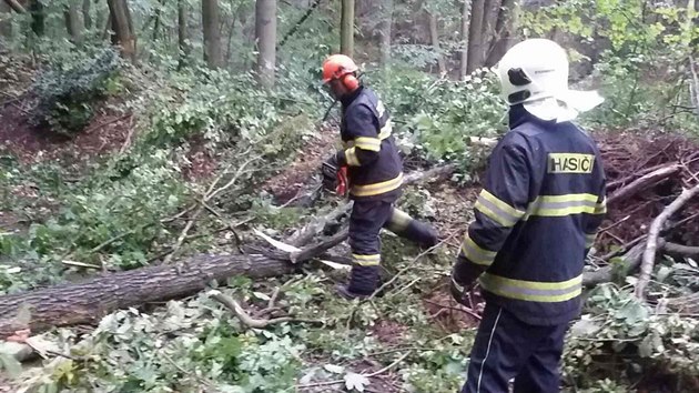 Olomouckm krajem proel ve tvrtek 3. srpna 2017 boukov ps a poryvy vtru zpsobily na destkch mst pdy vtv i strom.