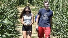 Bludit vysekaná v kukuiných lánech jsou novou turistickou atrakcí, zvlát...