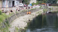 Dosud v amberku kvli protipovodové prevenci pokáceli na behu Divoké Orlice...