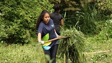 Dobrovolnice na workcampu v Jizerských horách