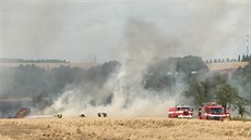 Dv tetiny pole se podailo zachránit.