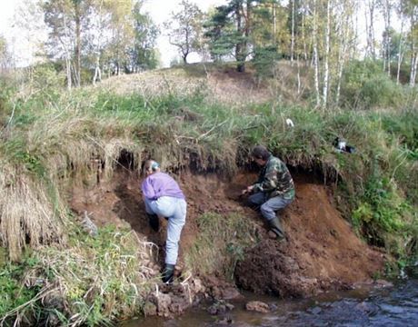 Hledání pozstatk vesnice Tollingen v nánosech u potoka.