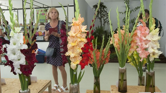 Na olomouckém výstavišti začala letní etapa mezinárodní květinové expozice...