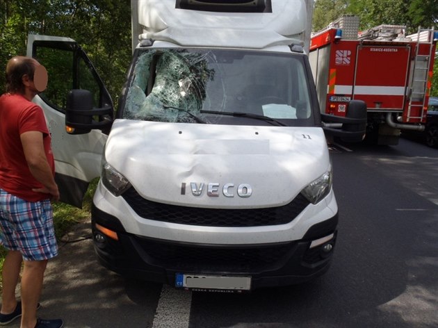 Nehoda, pi ní nedaleko Chotíkova proletla srna a do kabiny vozu (8. 8. 2017)