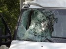 Nehoda, pi ní nedaleko Chotíkova proletla srna a do kabiny vozu (8. 8. 2017)