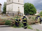 Nkolik desítek dom pokodila vtrná smr, která se prohnala obcí Bohuslavice...