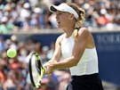 Dánská tenistka Caroline Wozniacká ve finále Rogers Cupu proti Jelen...