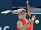 Ukrajinská tenistka Jelena Svitolinová ve finále Rogers Cupu proti Caroline...