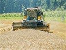 Kombajny jsou na pol�ch p�i �n�ch i do p�lnoci.