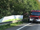 Tragická nehoda na silnici I/3 na Beneovsku, pi ní zemel nepipoutaný...