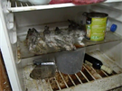 V lednici jsou zřejmě plesnivá mrtvá zvířata, v kyblích pak mrtvá agama a ježek.