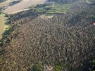 Letecký przkum ukázal rozsáhlý lesní polom u obce Libatov na Trutnovsku...
