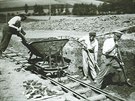 Dlníci na dálnici v Chibech v ervenci 1939.