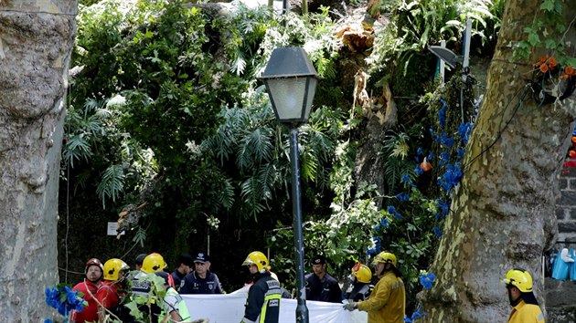 Padajc strom zabil bhem crkevnch oslav na Madeie 12 lid (15. srpna 2017).