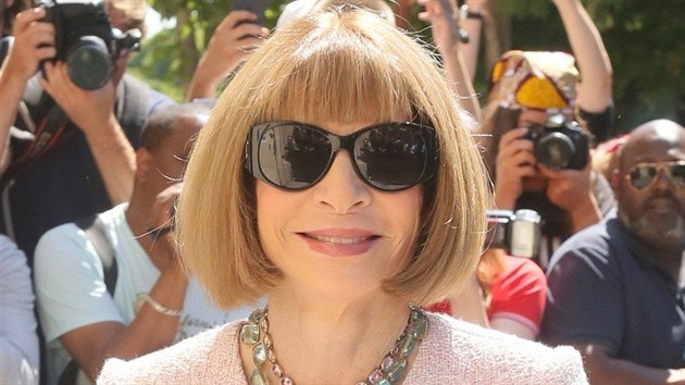 Milovan i nenvidn Anna Wintour je fka americk edice Vogue.