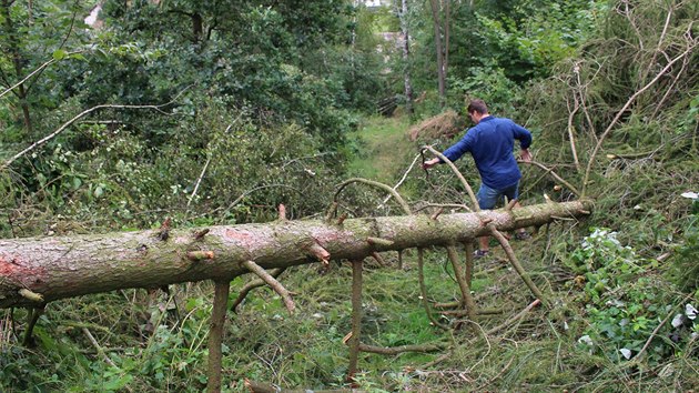 Po bouři s derechem vznikl na Trutnovsku rozsáhlý lesní polom. Lidé se pustili do odstraňování následků škod (16.8.2017).