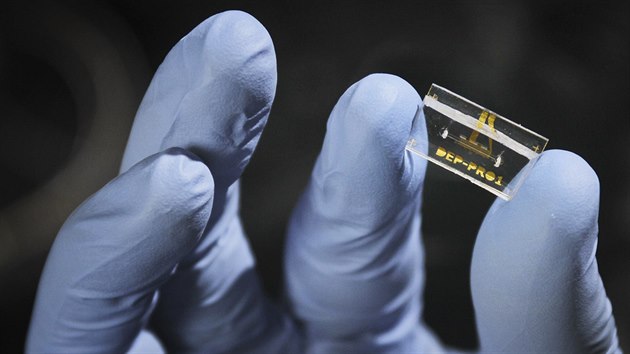 Speci�ln� �ip, kter� je schopen analyzovat bu�ky.(9. srpna 2017)