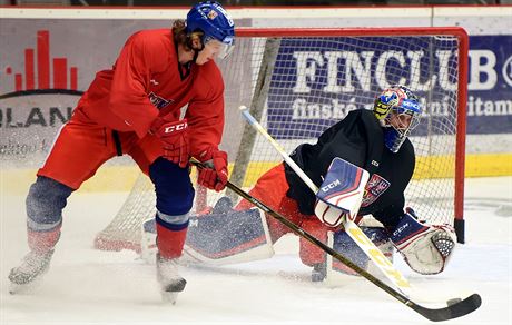 Obránce Libor ulák (vlevo) a branká Patrik Bartoák na tréninku hokejové...