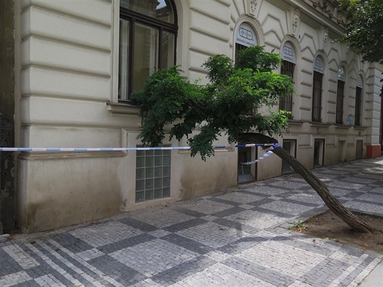 V Perunov ulici podejítí stromu brání páska