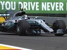 Jezdec Mercedes Lewis Hamilton