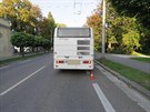 Autobus, který v centru Hradce Králové srazil psa (23.8.2017).