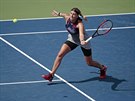 Petra Kvitová se natahuje po míku v prvním kole US Open, eská tenistka...