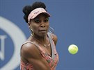 Amerianka Venus Williamová porazila v prvním kole US Open slovenskou tenistku...